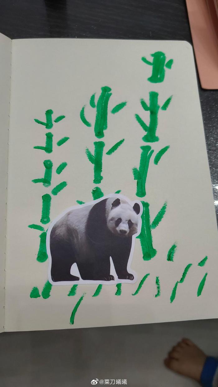 在跟孩子一起玩画画和贴纸， 先画点简单的画，然后贴上跟画搭配的动物