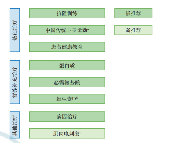 图2 肌少症治疗策略