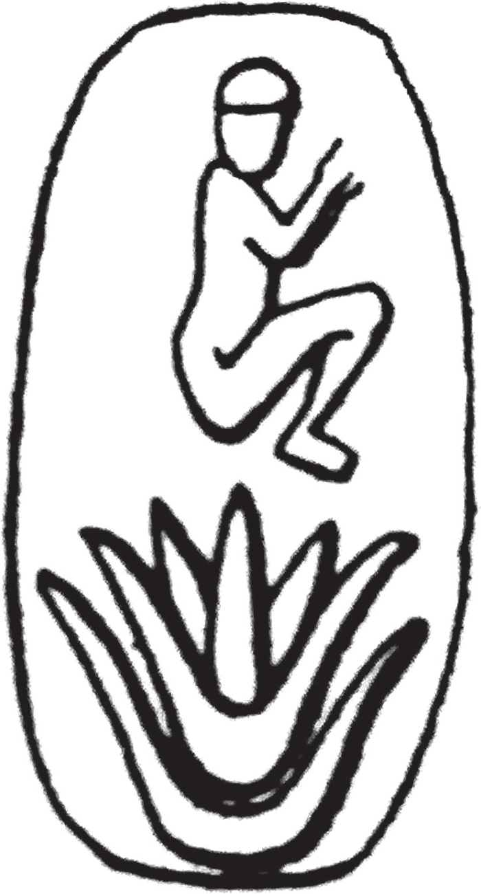 伊拉克印记：莲上男童