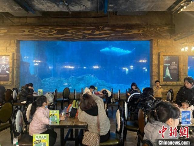 图为白鲸餐厅内。张煜欢 摄