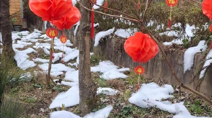 游客吐槽雪村“雪是用人造棉花做的”。 图源：网友
