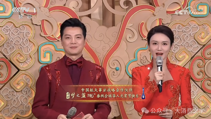 图片来源：央视官网