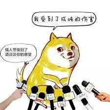 每年一次虐狗节又到了！