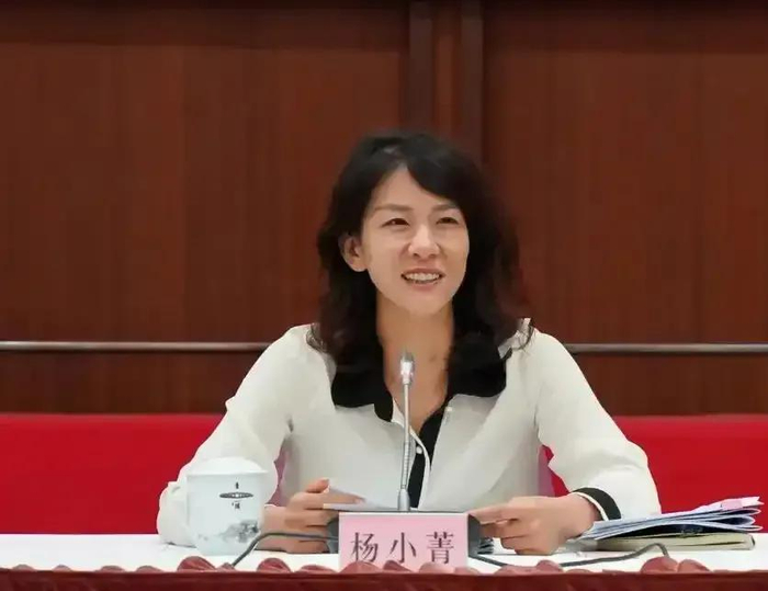 杨小菁 资料图