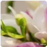 《六姊妹》中的何家喜结婚的时候，何家喜也不想让自己吃亏…