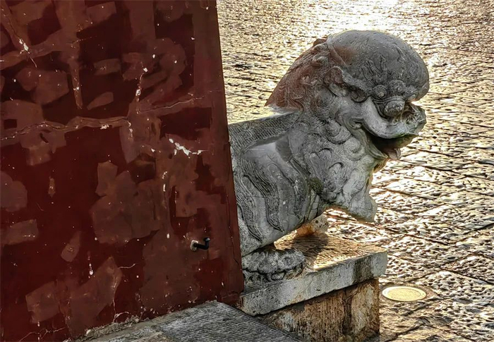 （谁在喊我？王兵 摄）