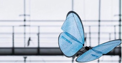 中国仿生无人机蜂群有多强 2025中国军事科技突破