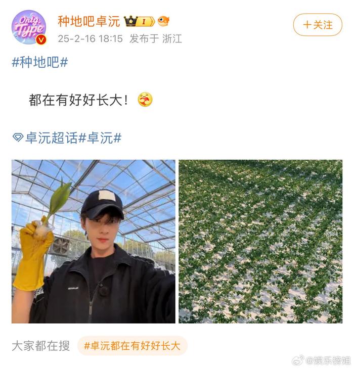 辛苦啦，卓沅的能力毋庸置疑！