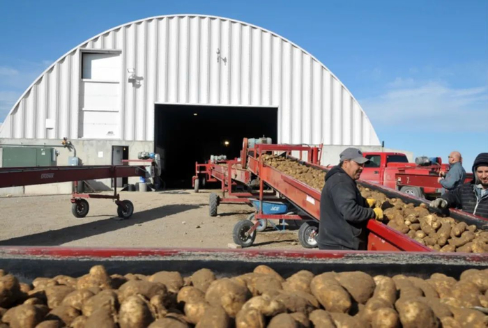 铅笔道作者 | 海有梦