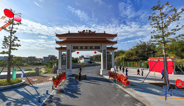 江门古劳大埠村:侨乡旖旎 鹭影蹁跹|谭成伟|白鹭|江门市|广东省|鹭鸟_新浪新闻