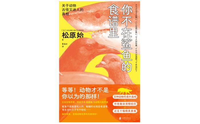 在动物世界，“群居”是普遍现象吗？