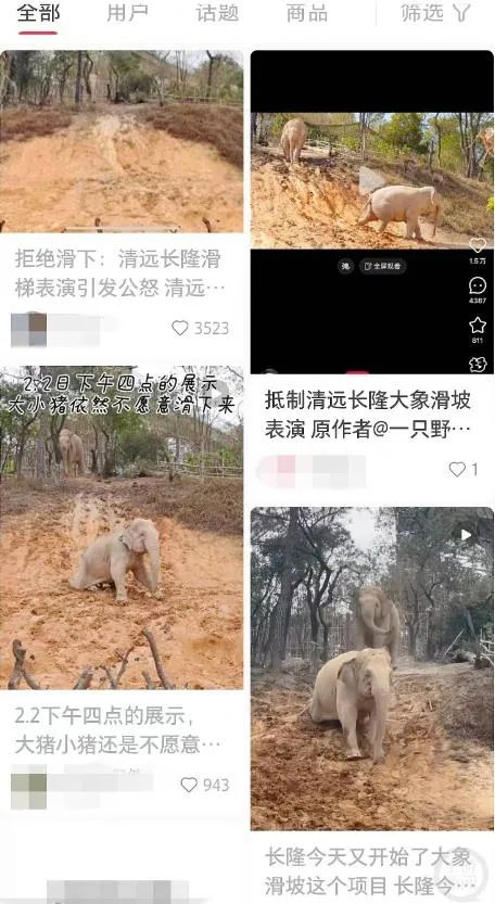 大象“滑滑梯”引起网民批评。（网络截图）