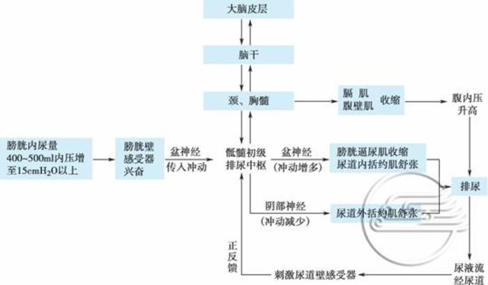 精神疾病引起躯体症状的原理(精神疾病引起躯体症状的原理是什么)