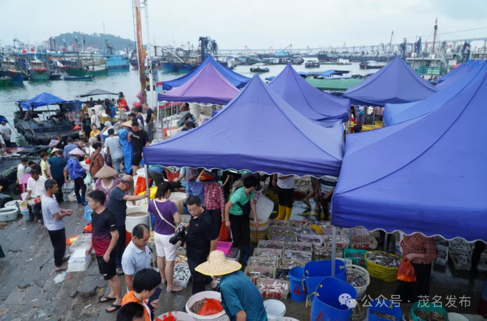市民赶早买海鲜。通讯员 程栩泽 摄