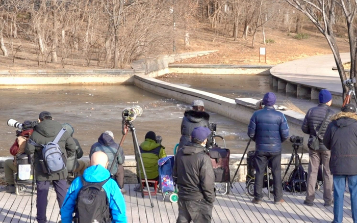 护鸟牌怎么写摆鱼缸、插假花,奥森有人诱拍翠鸟_新闻资讯_第1张_活检穿刺产品网 护鸟牌怎么写摆鱼缸、插假花,奥森有人诱拍翠鸟_https://www.jmylbn.com_新闻资讯_第1张