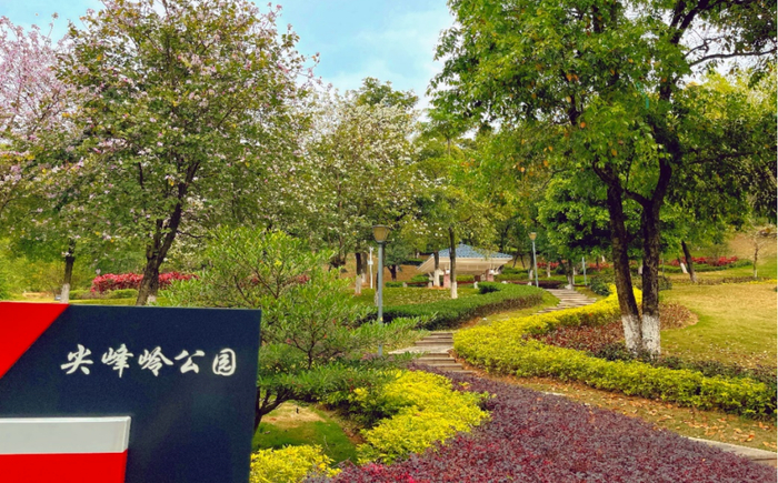 △尖峰岭公园 李群/摄