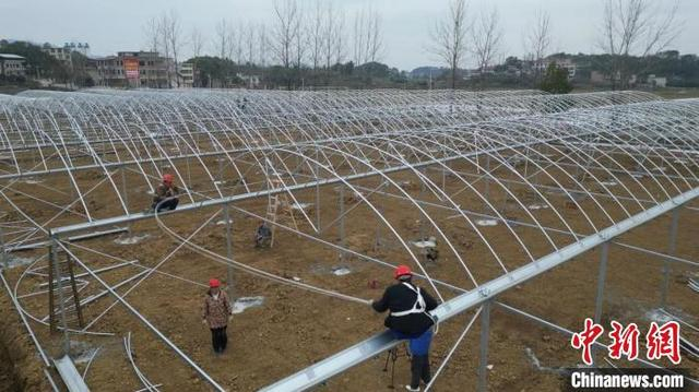 工人架设大棚。祁阳市委宣传部供图
