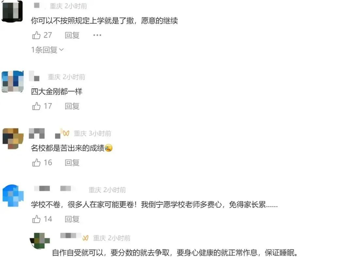 网友评论。（网络截图）