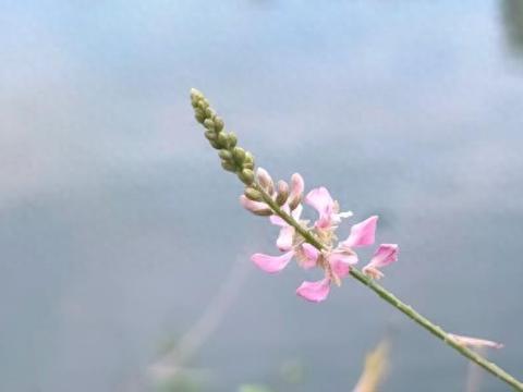 层次越低的兄弟姐妹，越有这几种“穷相”