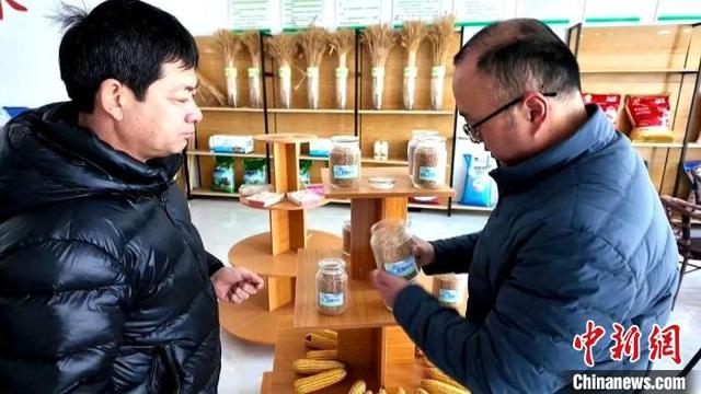 塔城市农业农村局种子站联合农业综合行政执法大队，针对种子企业展开了专项检查行动。塔城市融媒体中心供图