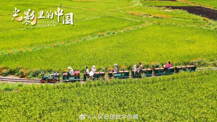 每日晨语 独处，是一种可贵的人生智慧