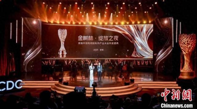 首届中国电视剧制作产业大会年度盛典“金树林·绽放之夜”现场。盛典主办方供图