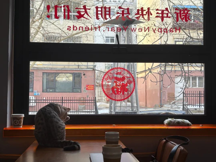 〓 李晚义经常在咖啡厅和小猫一起发呆。图 / 每日人物摄