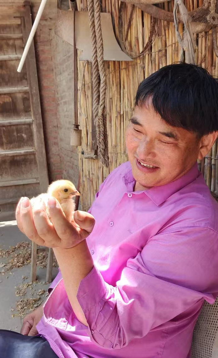 朱之文在家中照看出生不久的小鸡。受访者供图