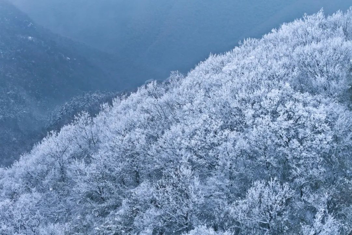 杭州余杭鸬鸟山雪景。摄影/方临明