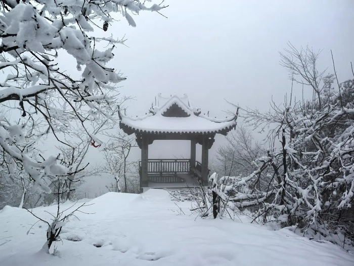 杭州建德正在下雪 摄影/蒋华