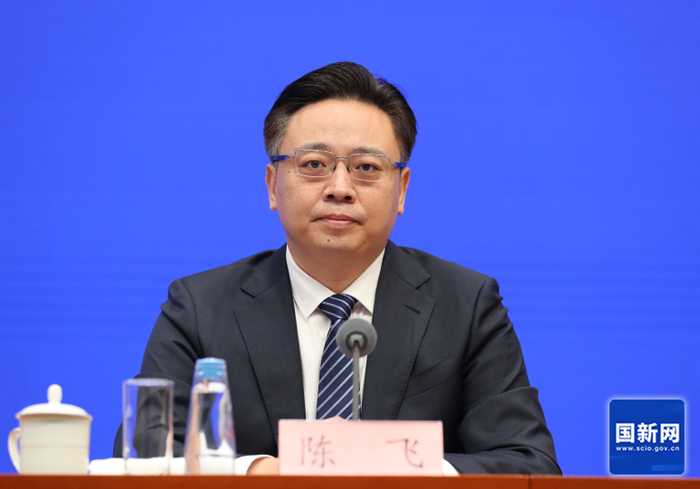 陈飞（资料图 来源：国新网）