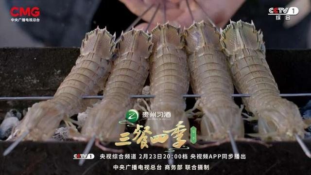 海报。节目组供图