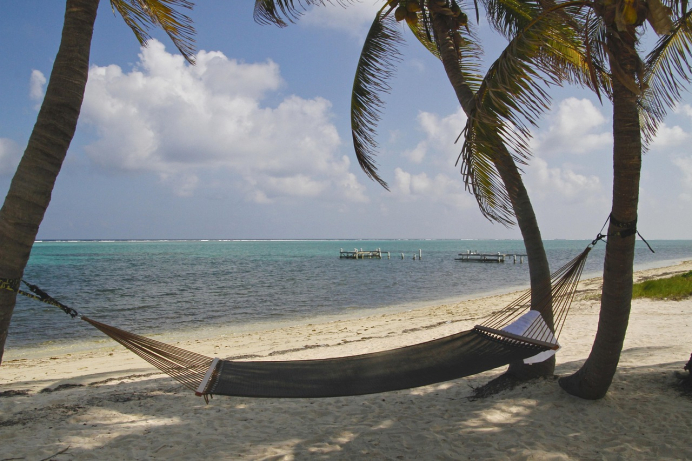 图片来源：pixabay.com