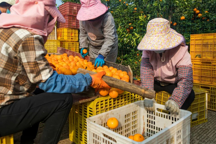 图库版权图片，转载使用可能引发版权纠纷