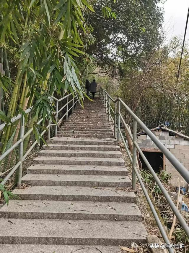 温州这条登山步道不仅风光迷人,还是赏桐花的好去处,值得一去