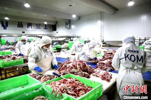图为工人们对牛羊肉进行精细分割。 张蜀雁摄