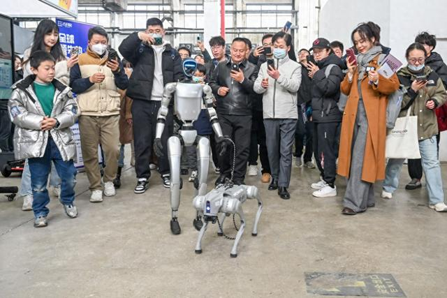 2025年2月22日，上海西岸艺术中心，宇树机器人现场“遛狗”，吸引众多观众围观。澎湃新闻记者 朱伟辉 图
