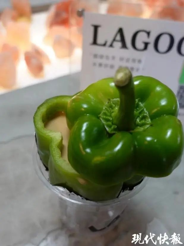 ▲图为青椒拿铁