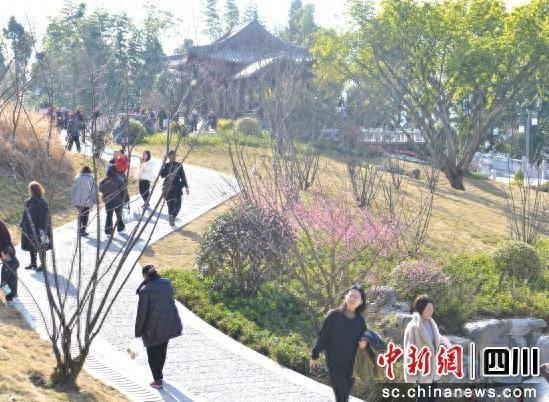 灵云山公园梅花绽放，吸引大量市民和游客踏春赏花。 高林阳 摄