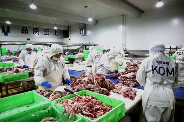 分割车间的工人们在工作。张蜀雁 摄