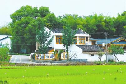 新都街道一景。