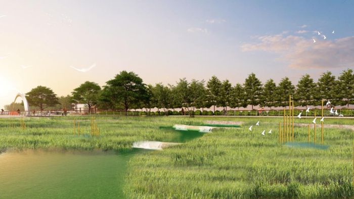 湿地型断面效果图