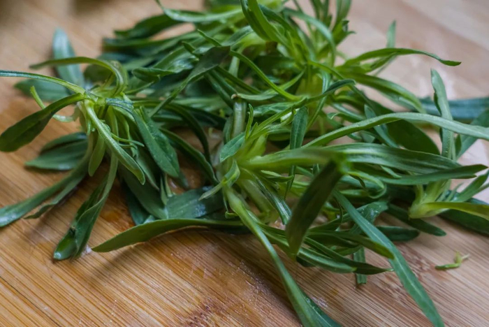 图库版权图片，转载使用可能引发版权纠纷