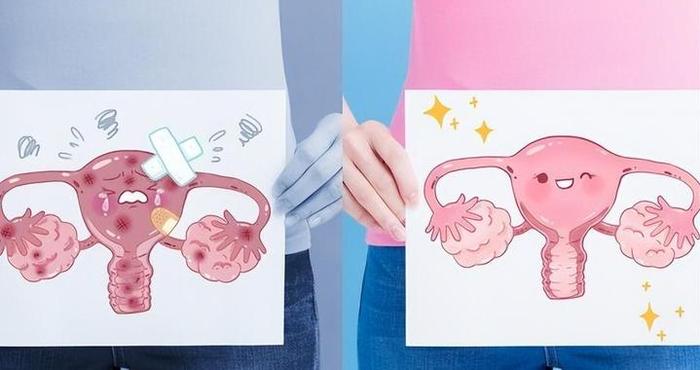 一个女人没有子宫会怎样？和正常女性有什么不同？答案来了