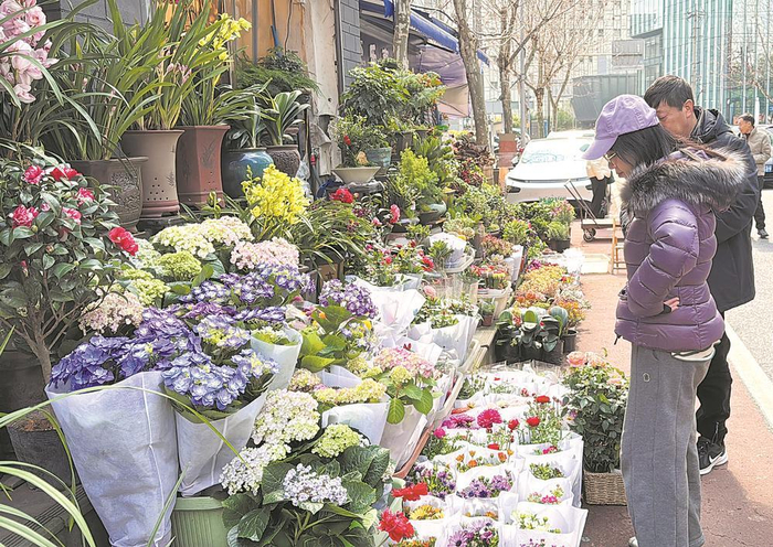     市民在花卉市场挑选鲜花。