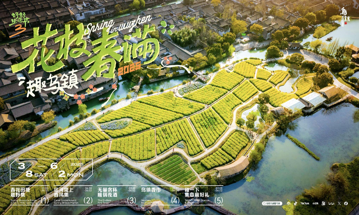 乌镇龙形田油菜花海