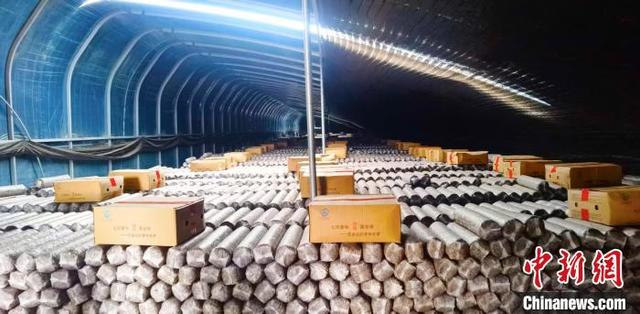 临县引入智能化温控大棚，打破传统香菇种植的季节性限制，让枣木香菇实现四季出菇。刘生锋 摄