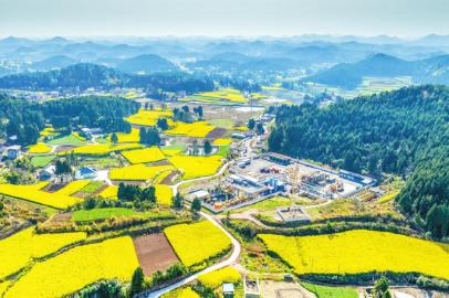 油菜花田里的天然气站。