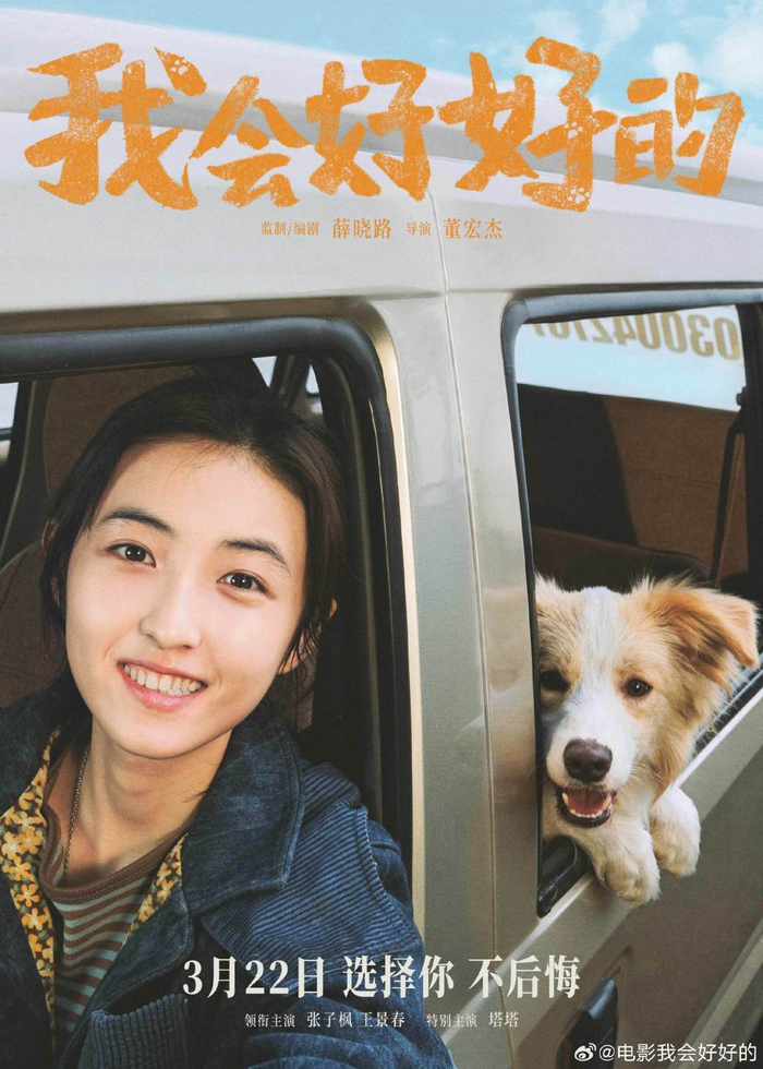 《我会好好的》海报