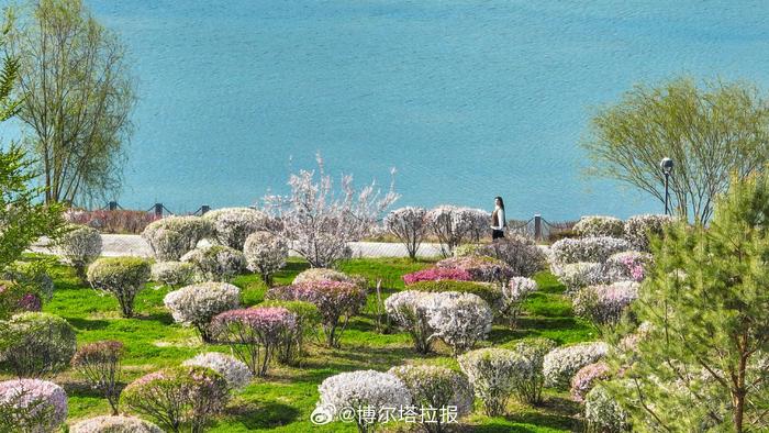 人生旅途中的得失与成长